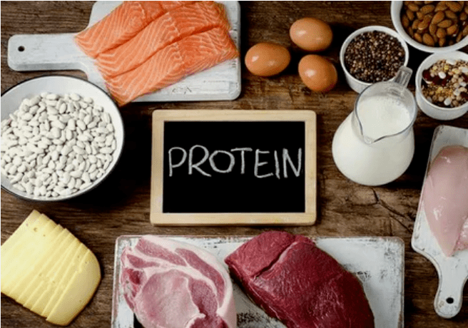 Proteina Dieta Produktuak