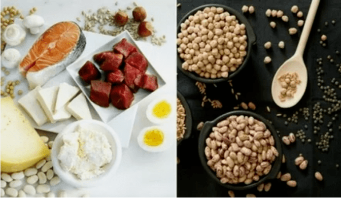 Proteinen dieta produktuen adibideak